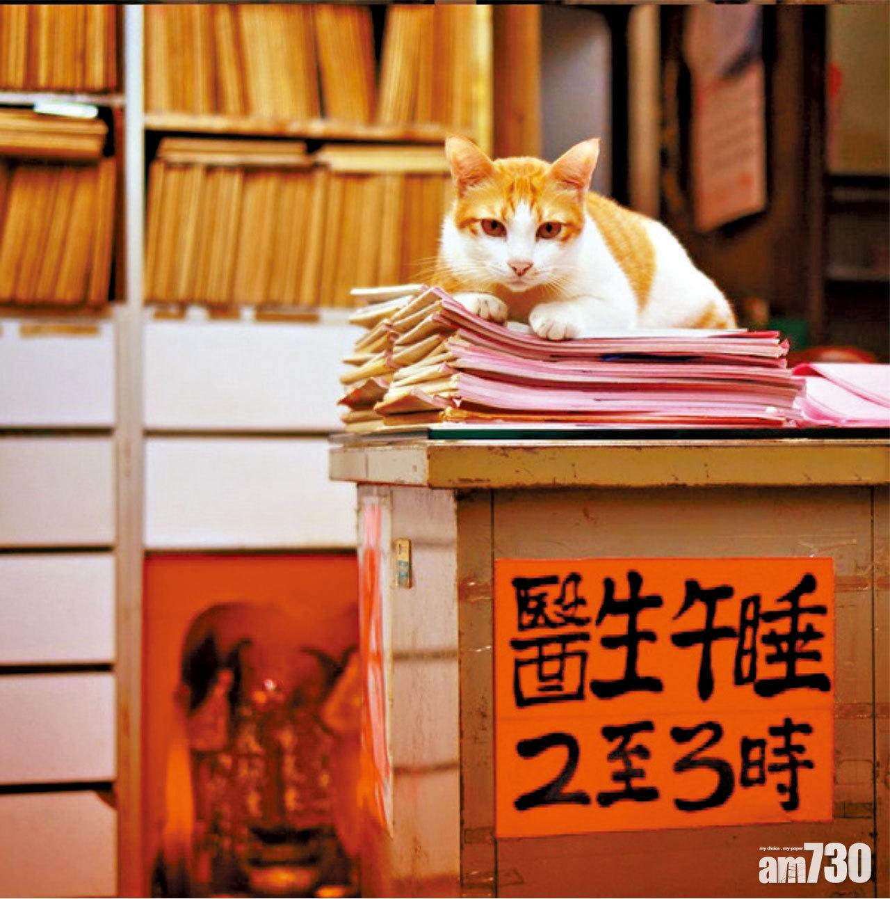 醫生午睡,就讓我頂更吧!