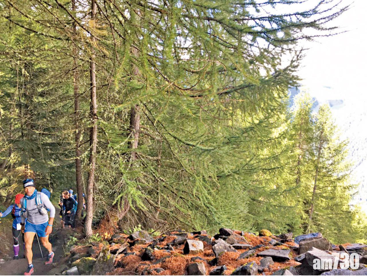 於庫爾馬耶烏爾行山。