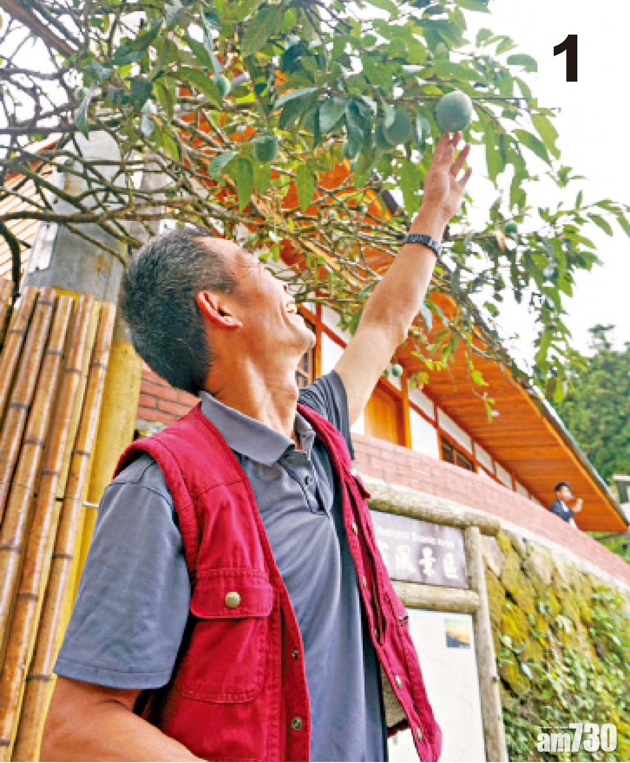 1 鄧雅元說原來愛玉就只有阿里山生長,而品質就以農場一帶為最佳。