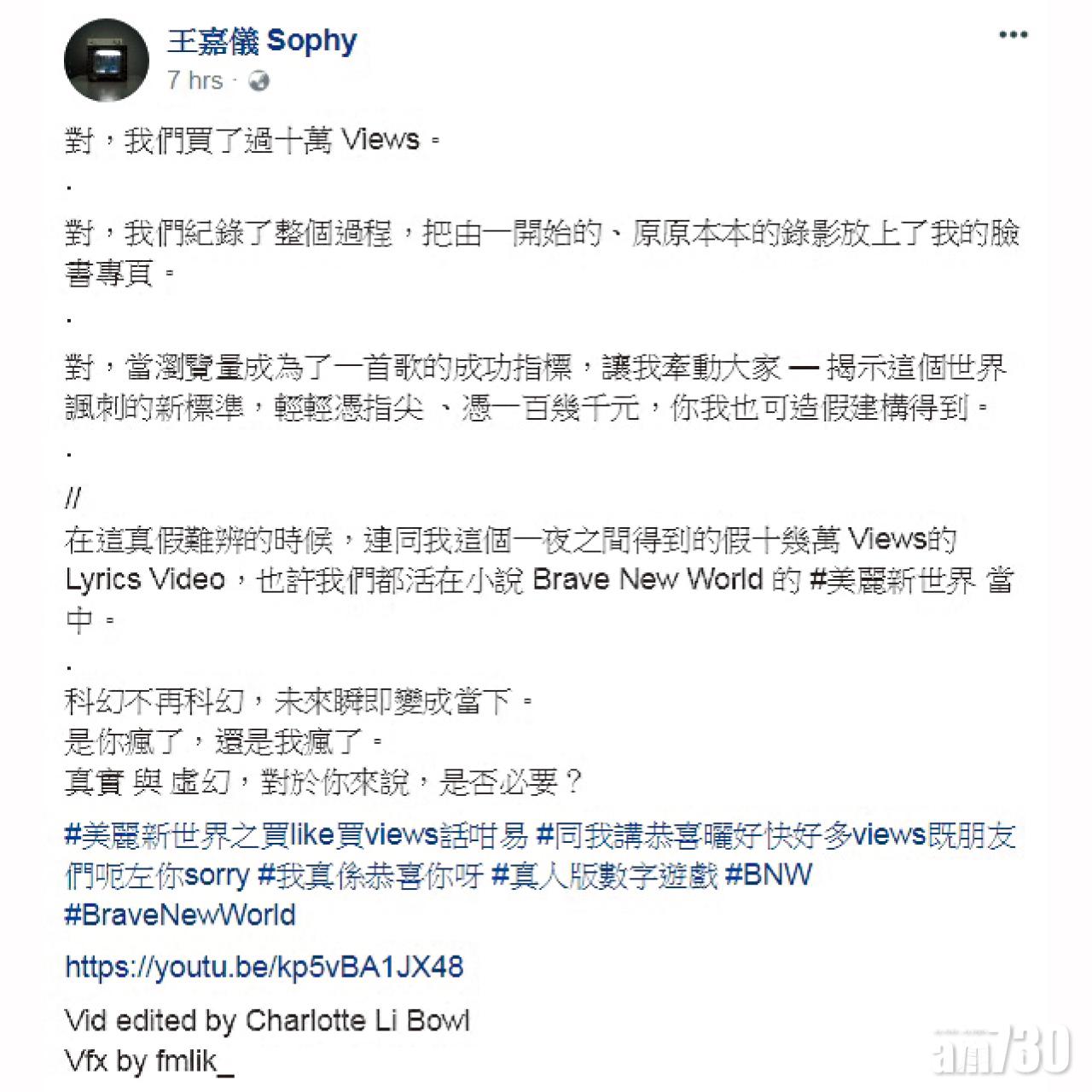 王嘉儀昨在Facebook發帖承認買views。(FB截圖)