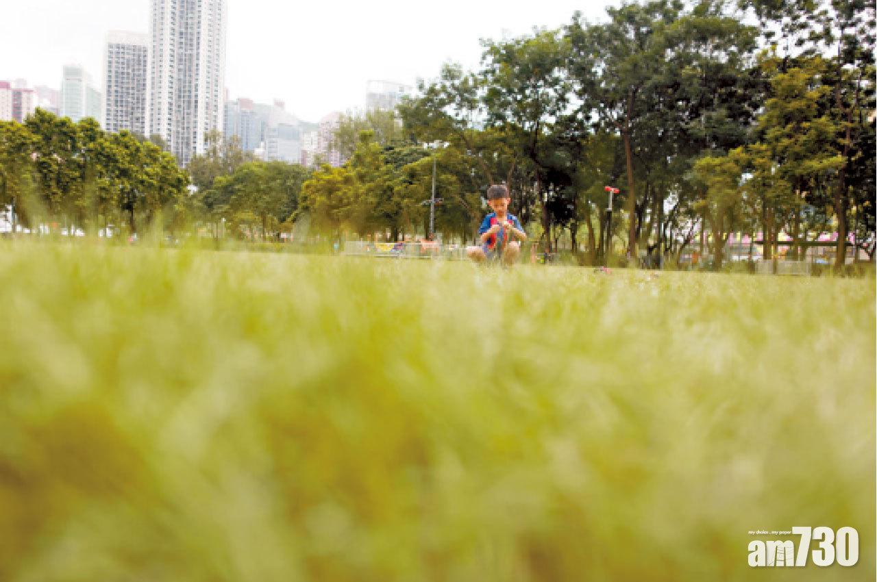 (圖3、4)維園綵燈會後,現場無煲蠟痕跡,清潔工人昨早已完成清理。(莊振邦攝)