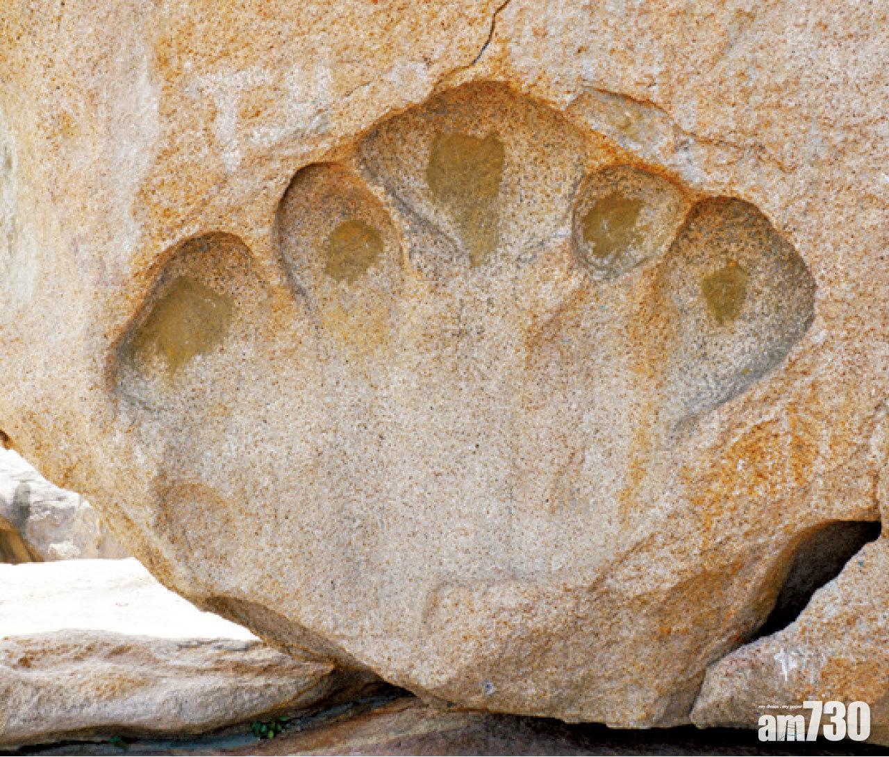 五隻手指印圓碌碌。