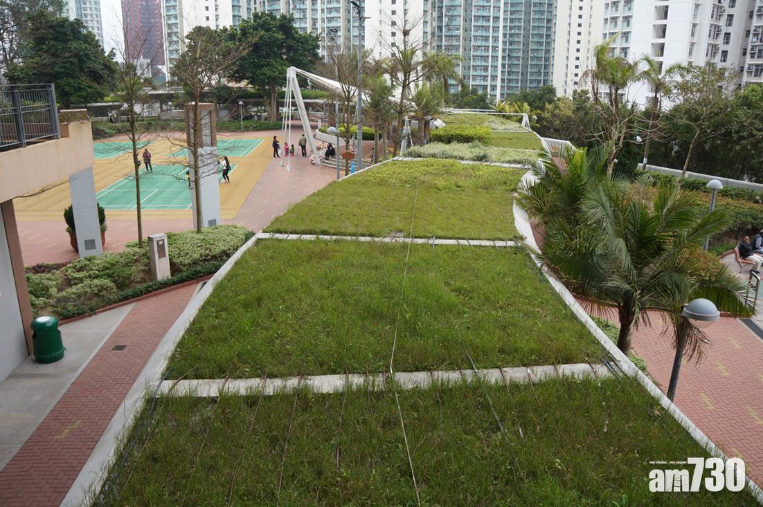 藍田邨的綠化有蓋行人通道。(照片由作者提供)