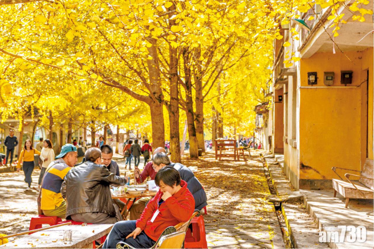 當地居民懂得趁旺季做生意,在樹下設餐桌供旅客「醫肚」。