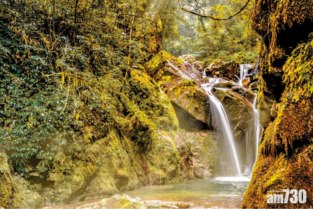 瀑布長廊內有多個瀑布,論氣勢不及北方磅礡,但論優雅卻是華南勝。