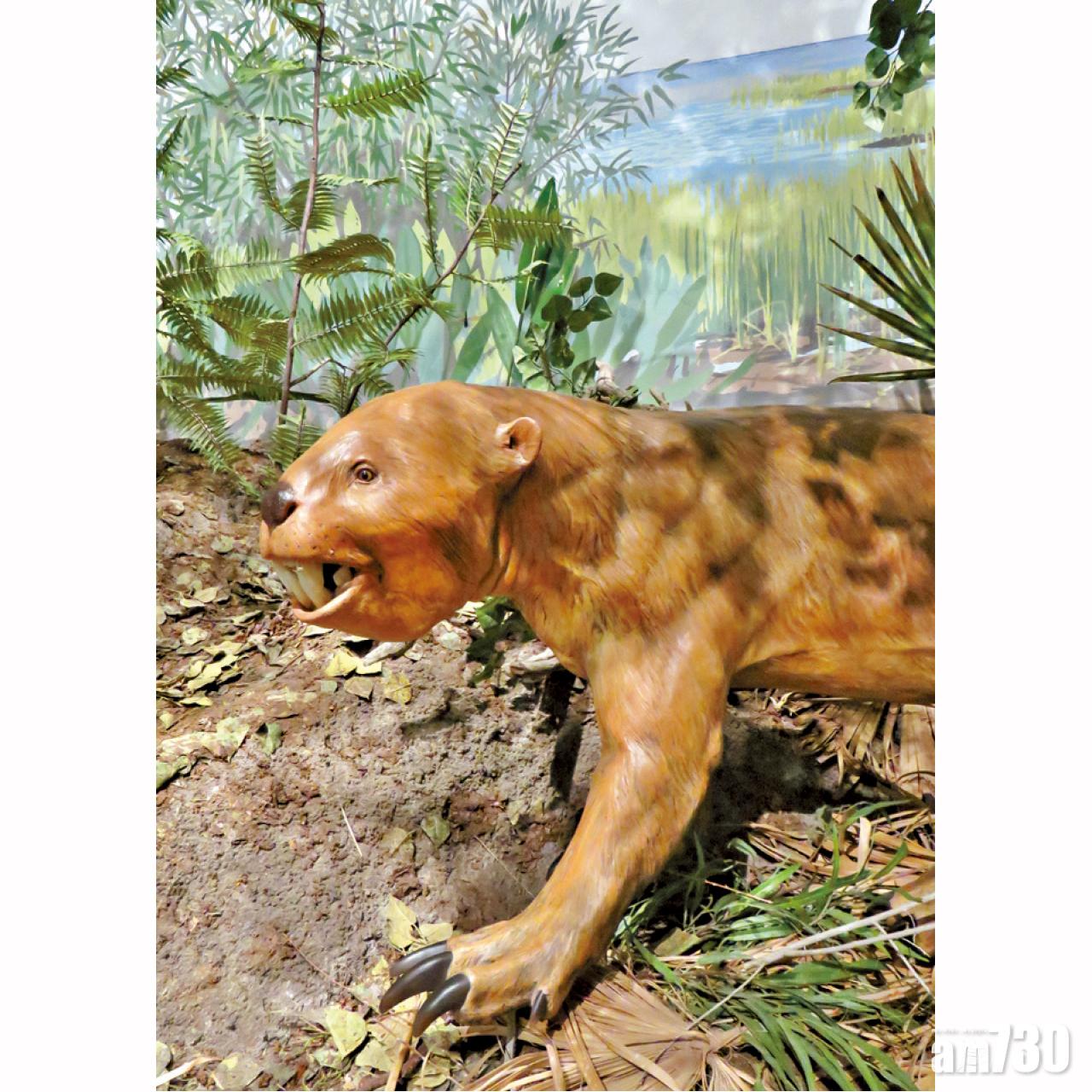 自然歷史州立公園博物館的史前哺乳類蠟像。