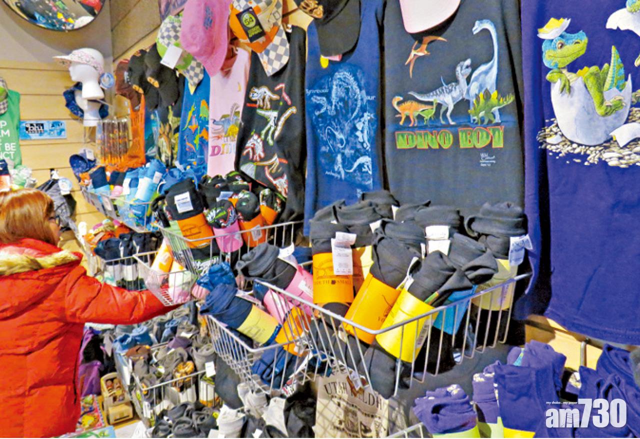 自然歷史州立公園博物館的恐龍T恤。