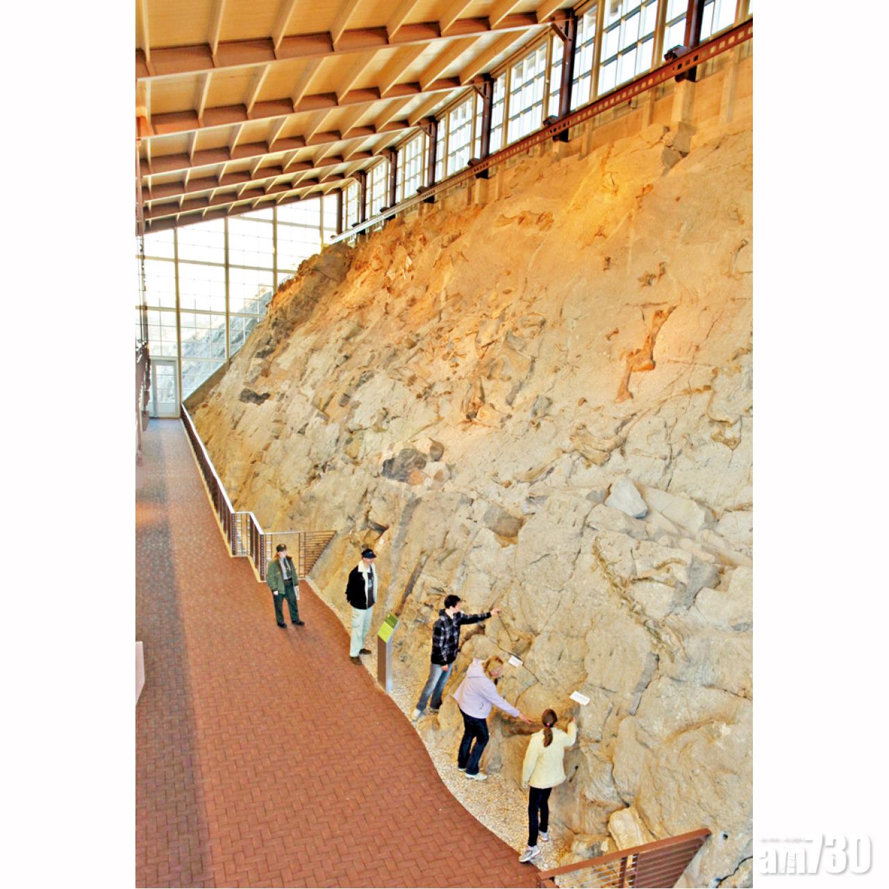 遊客可以走近化石骨牆,並親手觸摸化石。