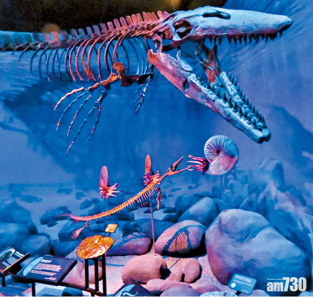 古生物博物館的史前深海場景。