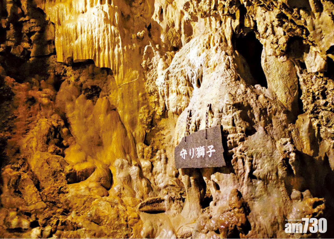 以不同形態示人的鐘乳石。