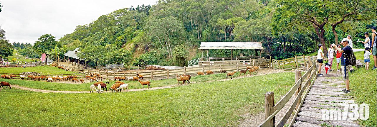 牧場依山坡而建,景觀甚具層次。