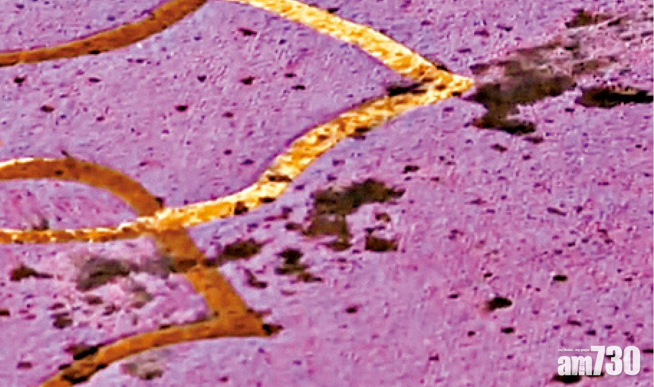 地氈留有濺下的通渠水。