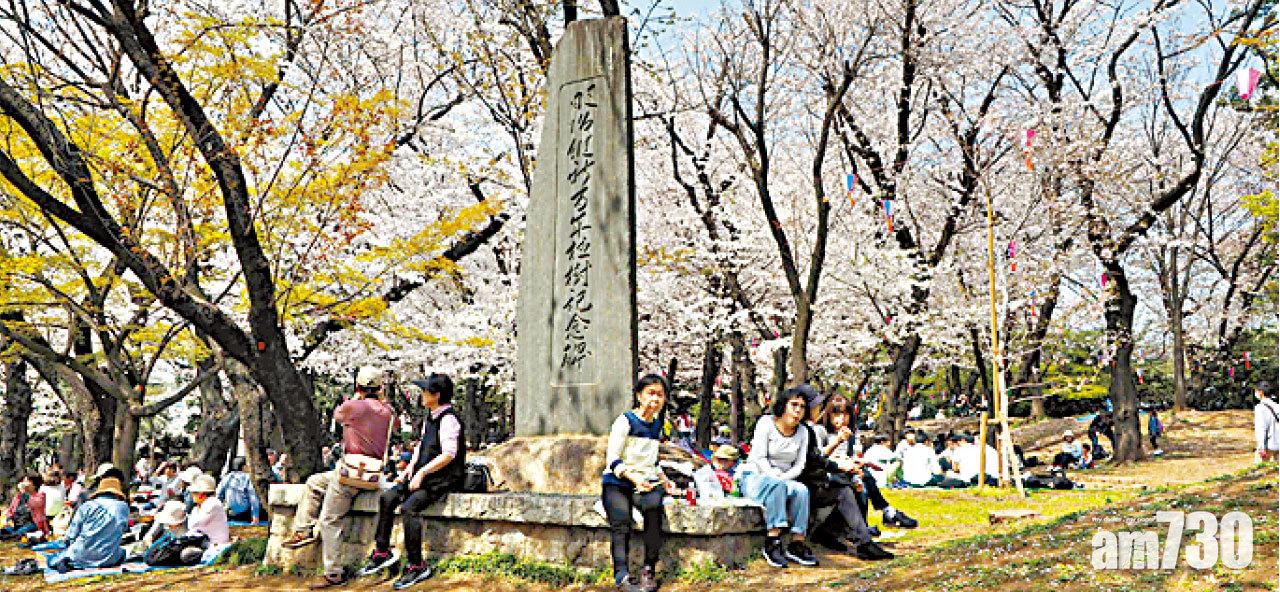 飛鳥山公園是吸引東京庶民賞櫻的名所。