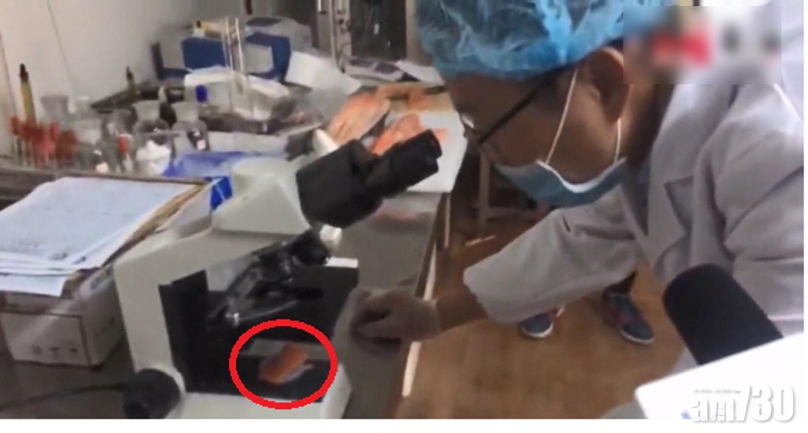 (互聯網)