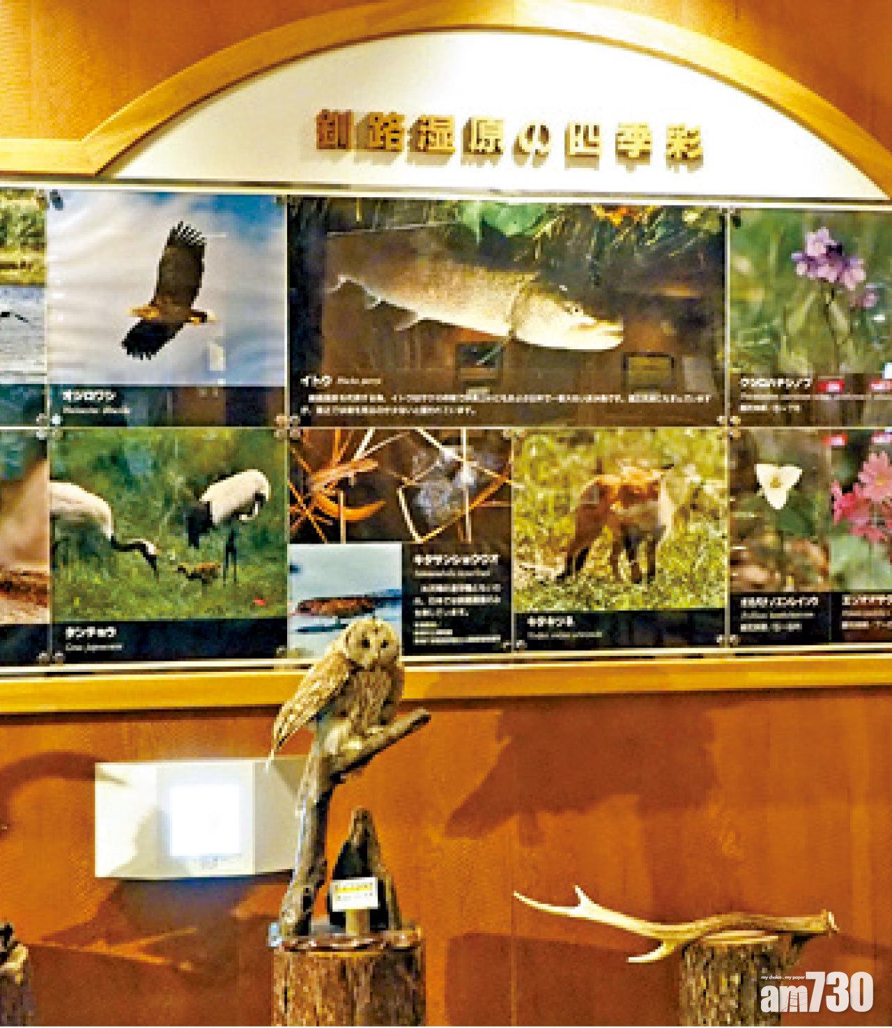 在釧路濕原駅徒步十分鐘,可抵達Hosooka訪客中心,了解釧路濕地的生態變化。這裡也是一家小食店,可補充飲料和食品。