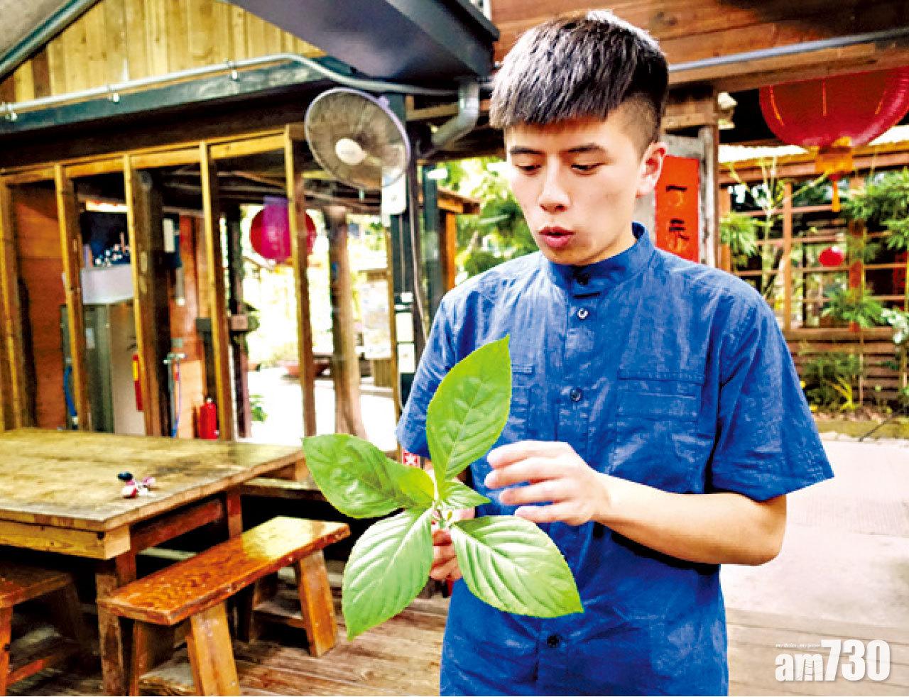 老師拿出葉子,介紹染料的原材料及製作過程。