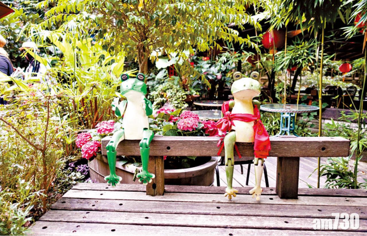 坐在木屋湖畔的木造青蛙。