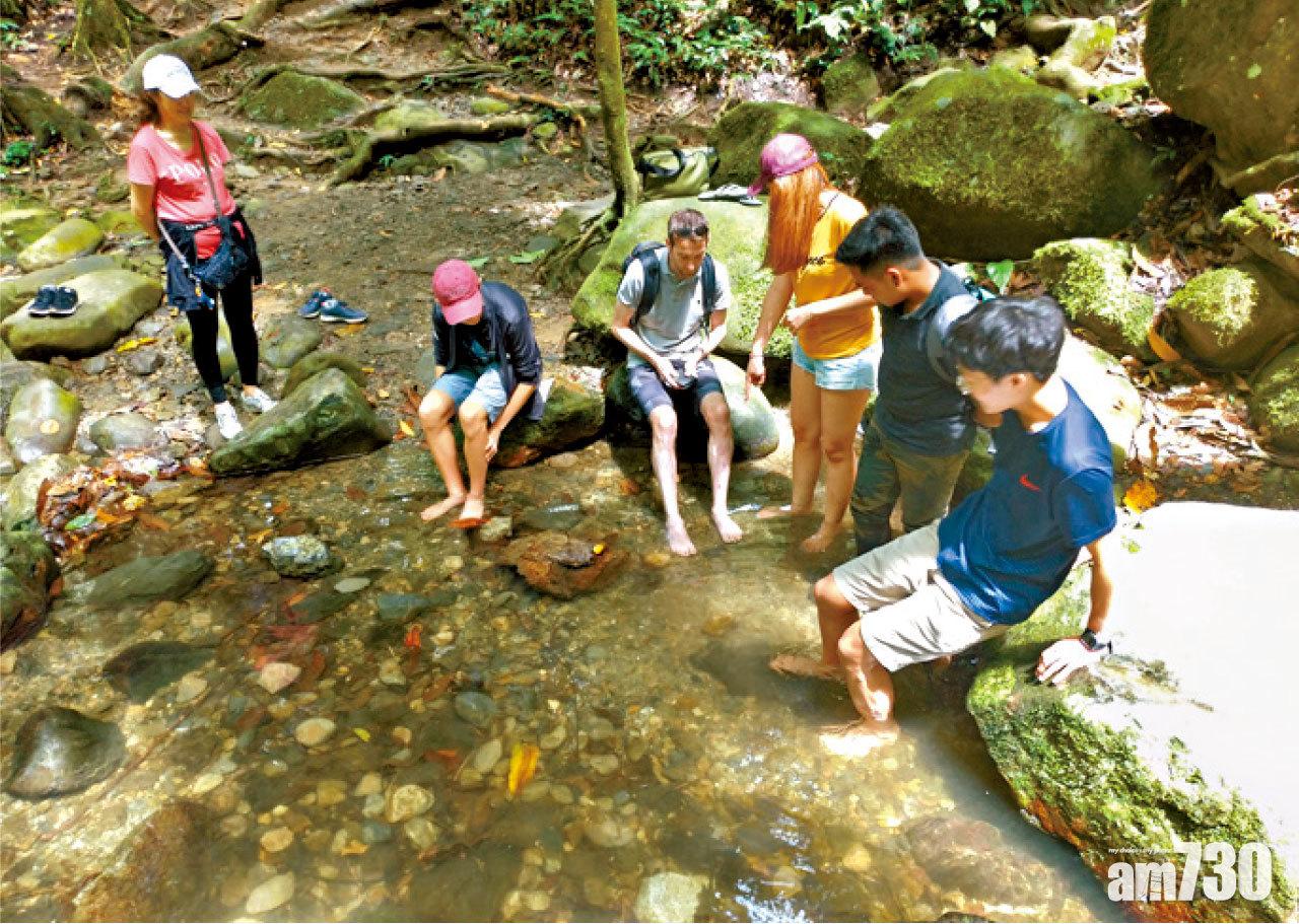 大家排排坐享受這個天然森林免費Spa。