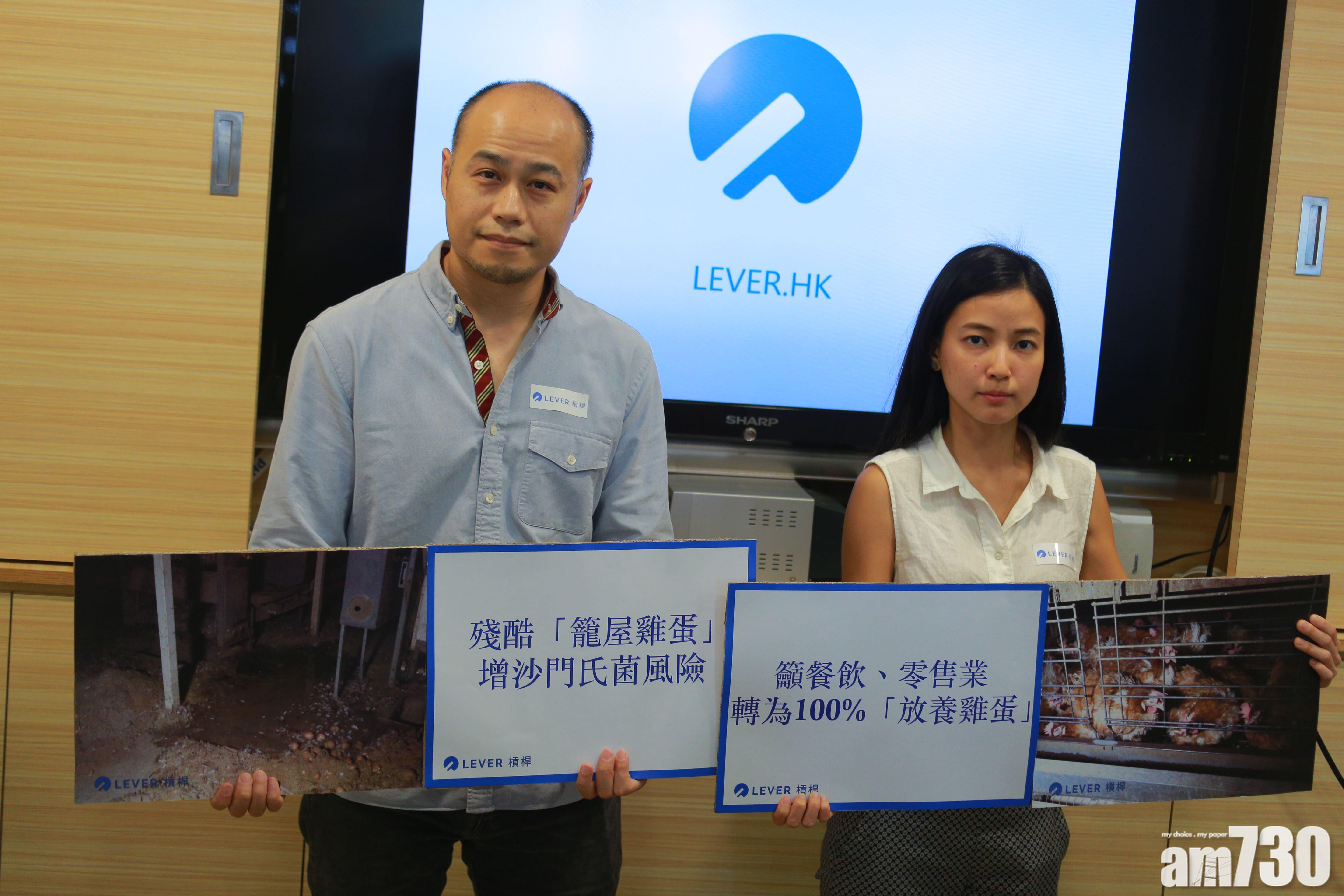 國際非牟利動物保護組織「Lever槓桿」發現超市出售的雞蛋中,僅少部分列明屬「放養雞蛋」。(莊振邦攝)