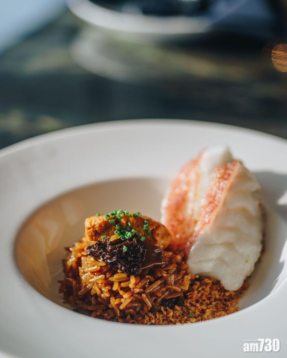 加拿大海膽松茸燴飯