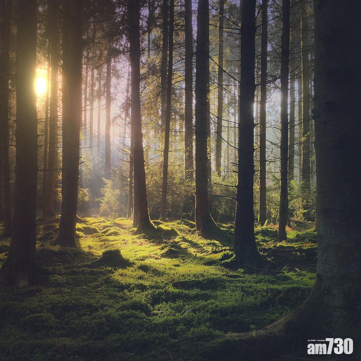 以iPhone 6s拍攝的作品(攝影:Mariko Klug)