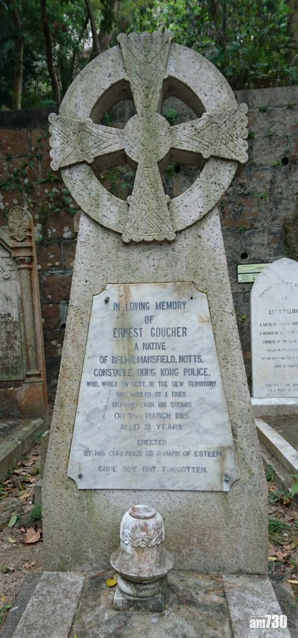 1915年,年輕英籍警察Ernest Goucher在新界執勤時被老虎襲擊咬死。