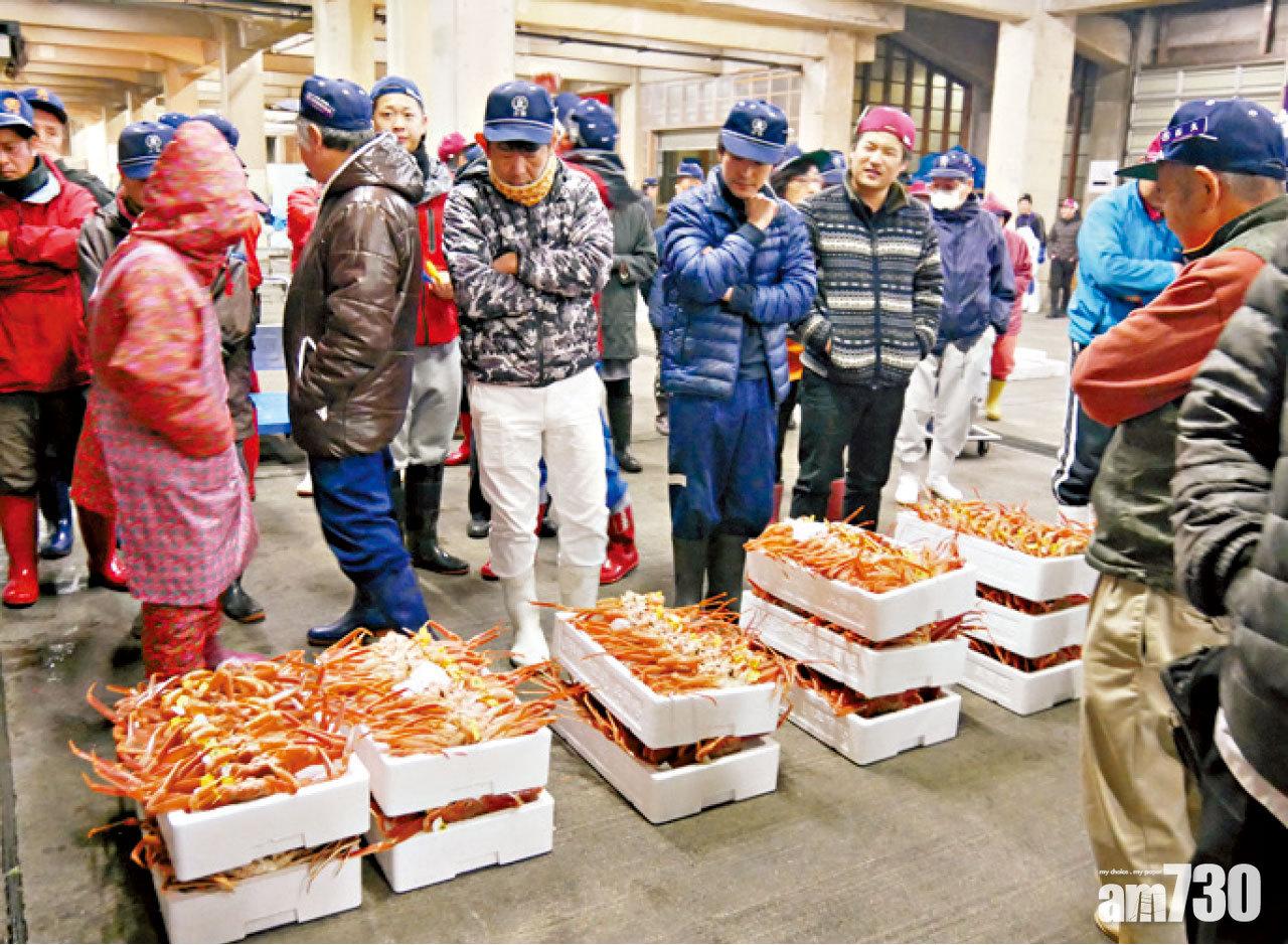 買家落足眼力鑑別越前蟹,因為一隻500克重可以賣得30,000日圓!