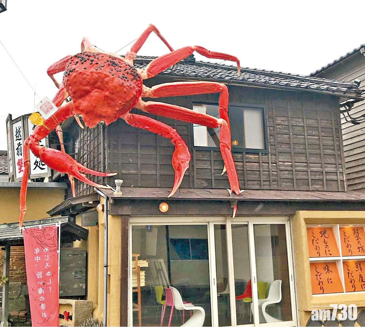 除了溫泉住宿外,在三國港也有不少專門吃越前蟹的店舖,這所有巨型越前蟹模型的「蟹之坊」是其中一家。