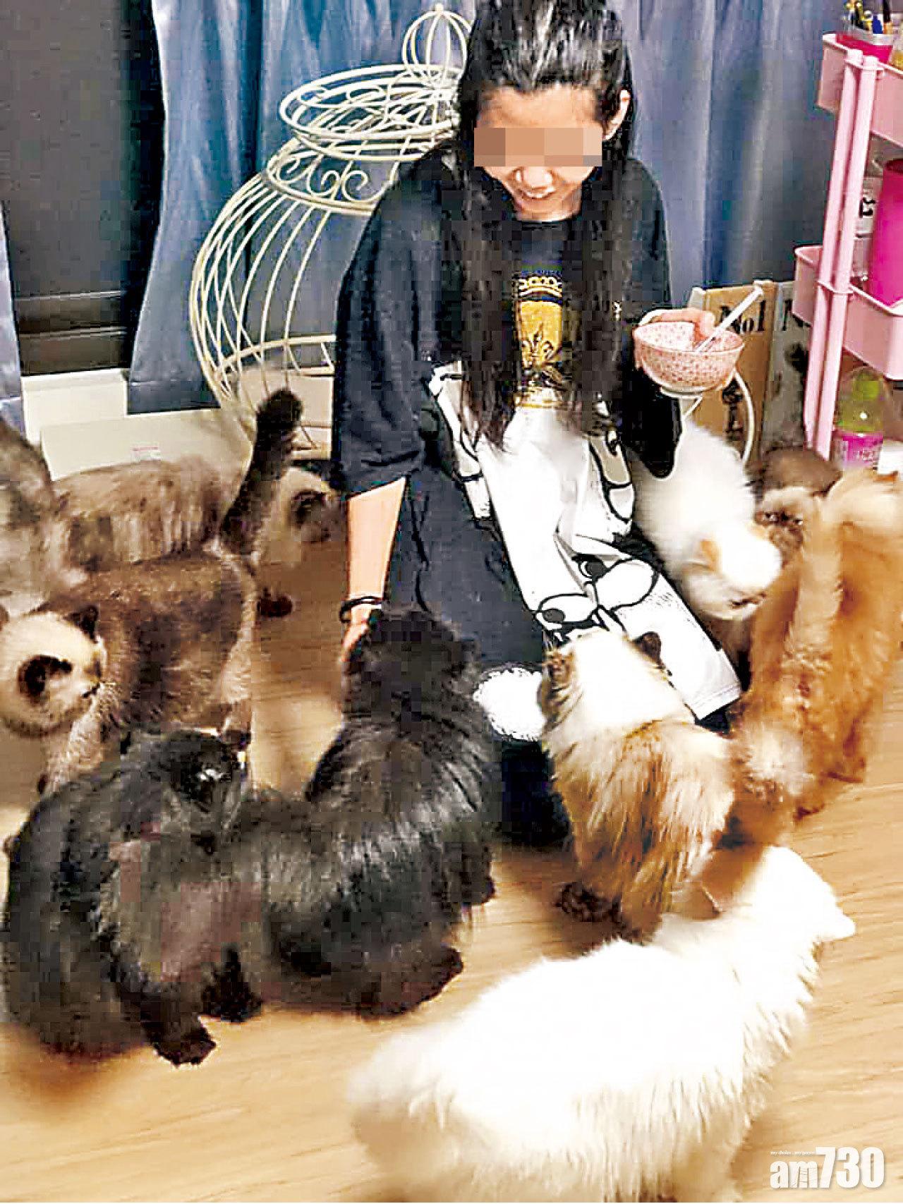 李女自稱非常愛貓。