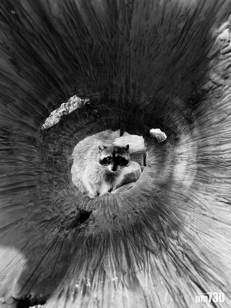 Blake Marvin (US),iPhone XS Max