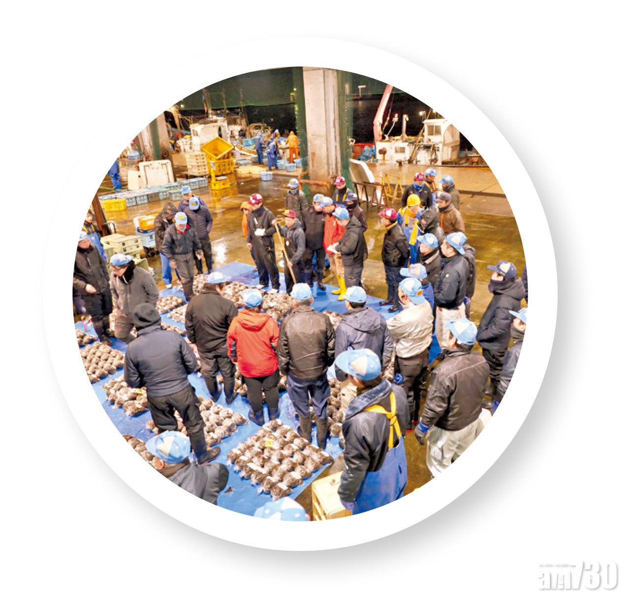 拍賣官響起搖鈴,買手隨即集合,叫賣聲如唱歌般節奏明快。