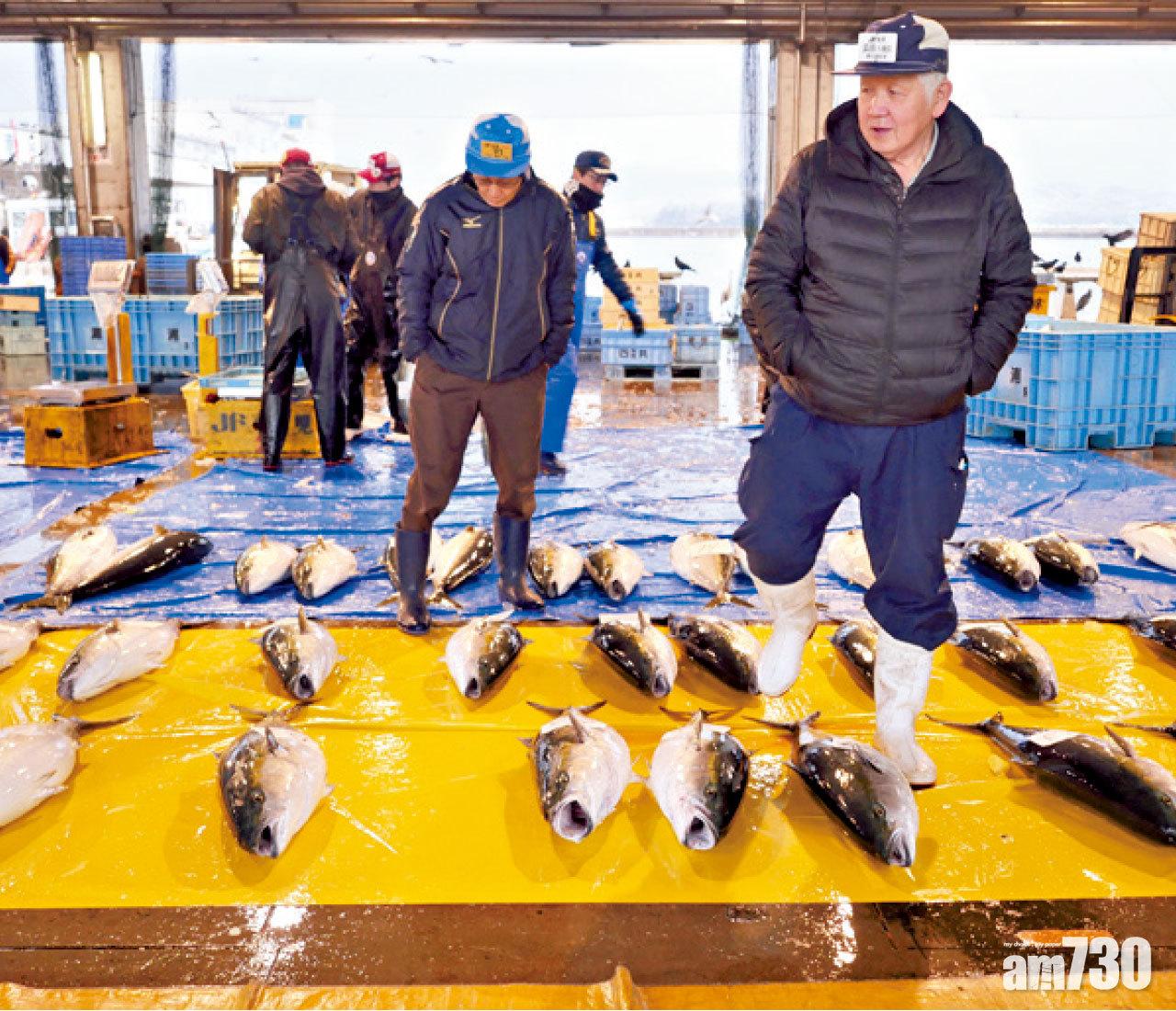 買家穿梭漁市場,檢閱當天漁獲,再決定競投時的出價和戰略。