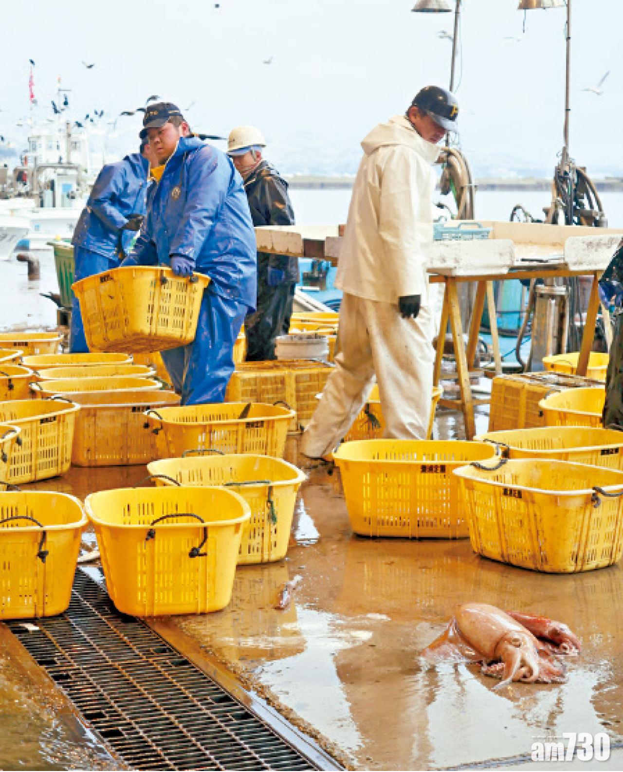 每當漁船一泊岸,工作人員便極速卸下漁獲,並分門別類。