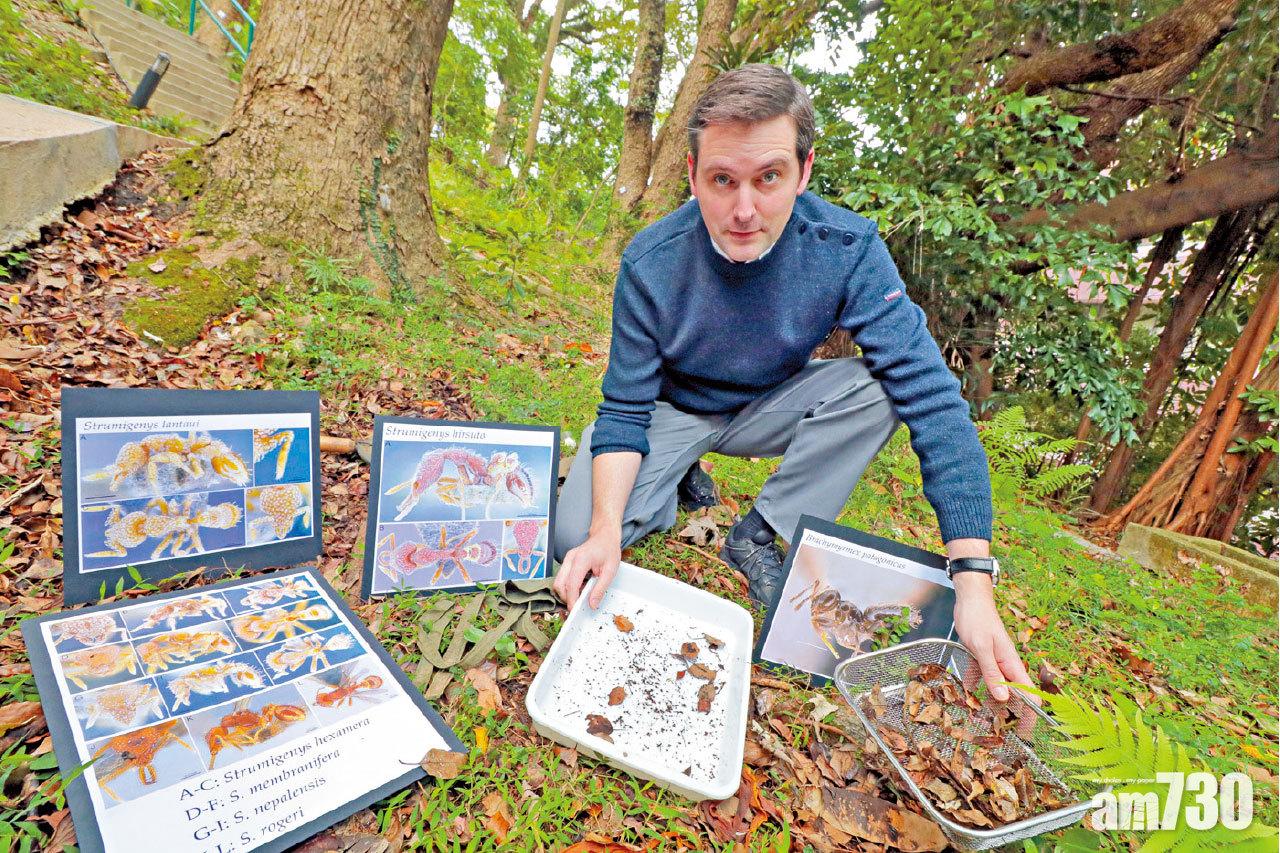 管納德及其團隊發現13個新螞蟻品種。(莊振邦攝)