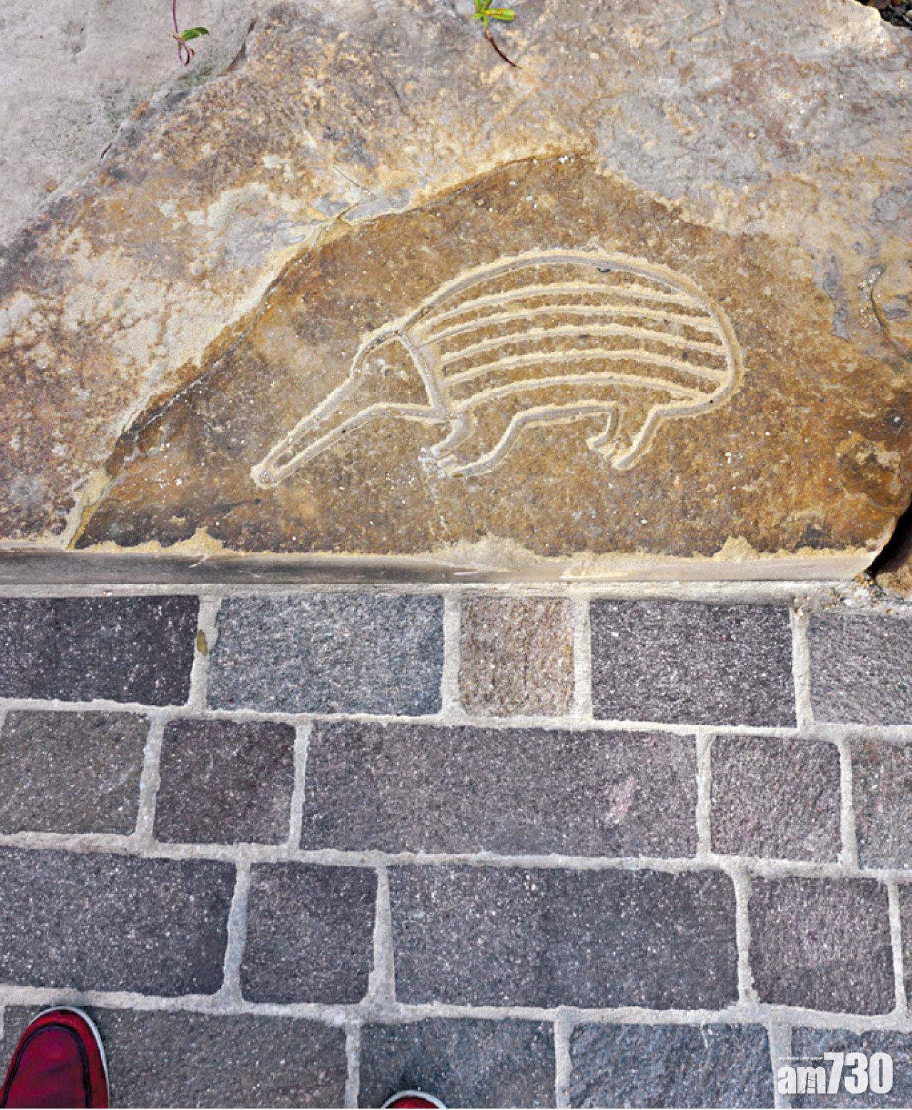 刻有澳洲特有動物的石雕,在Barangaroo Reserve裡到處可見。