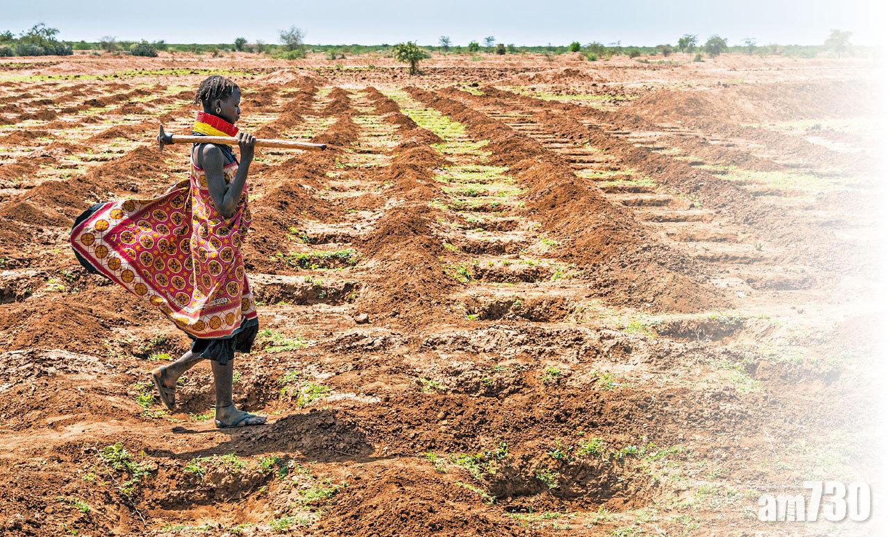 若高巴‧薩瓦多戈發明的Zai耕作方式,提升非洲旱地千萬農民抗旱力,讓他們自給自足。