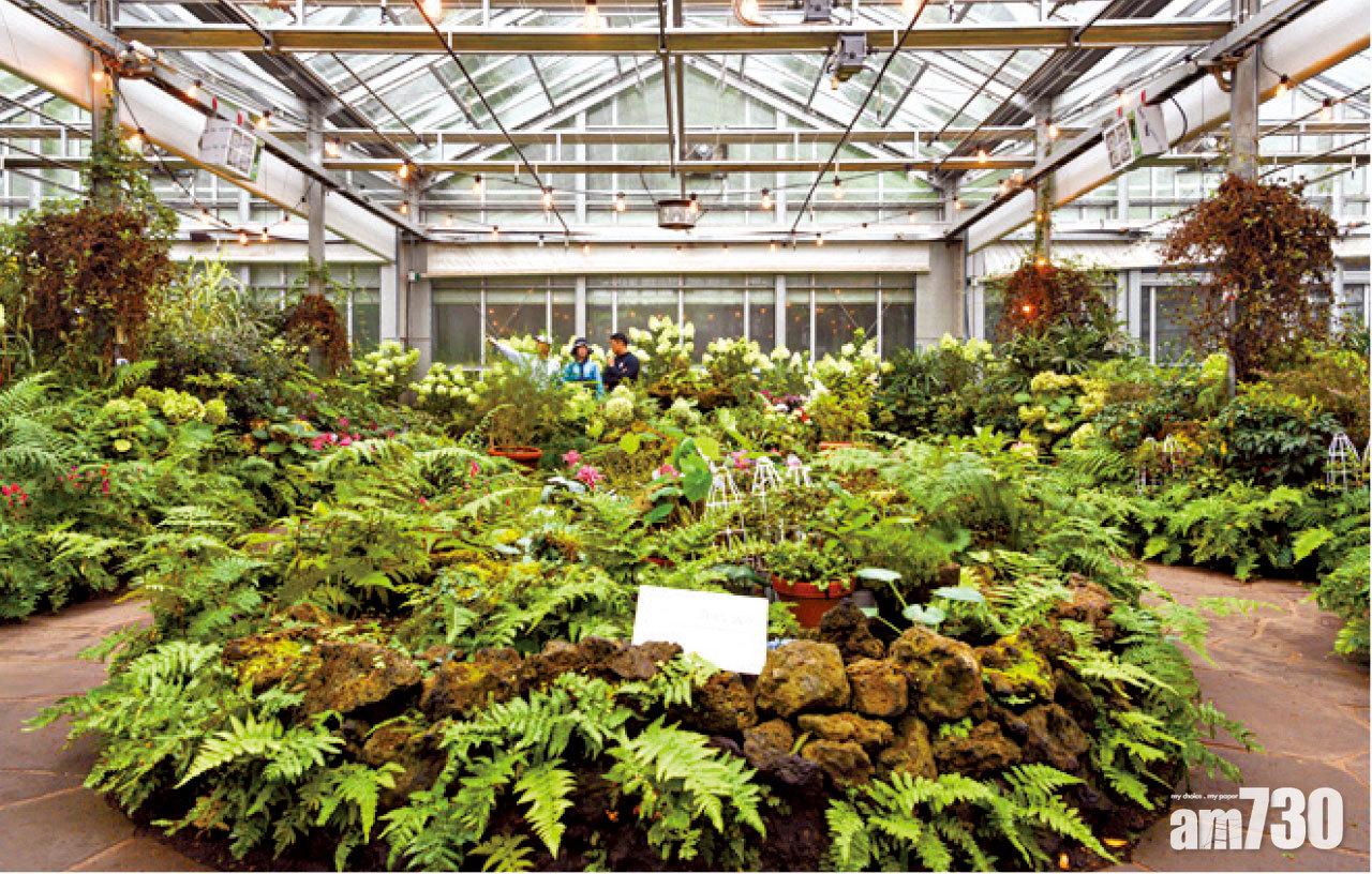 園內溫室賞花,不受天氣變化影響。