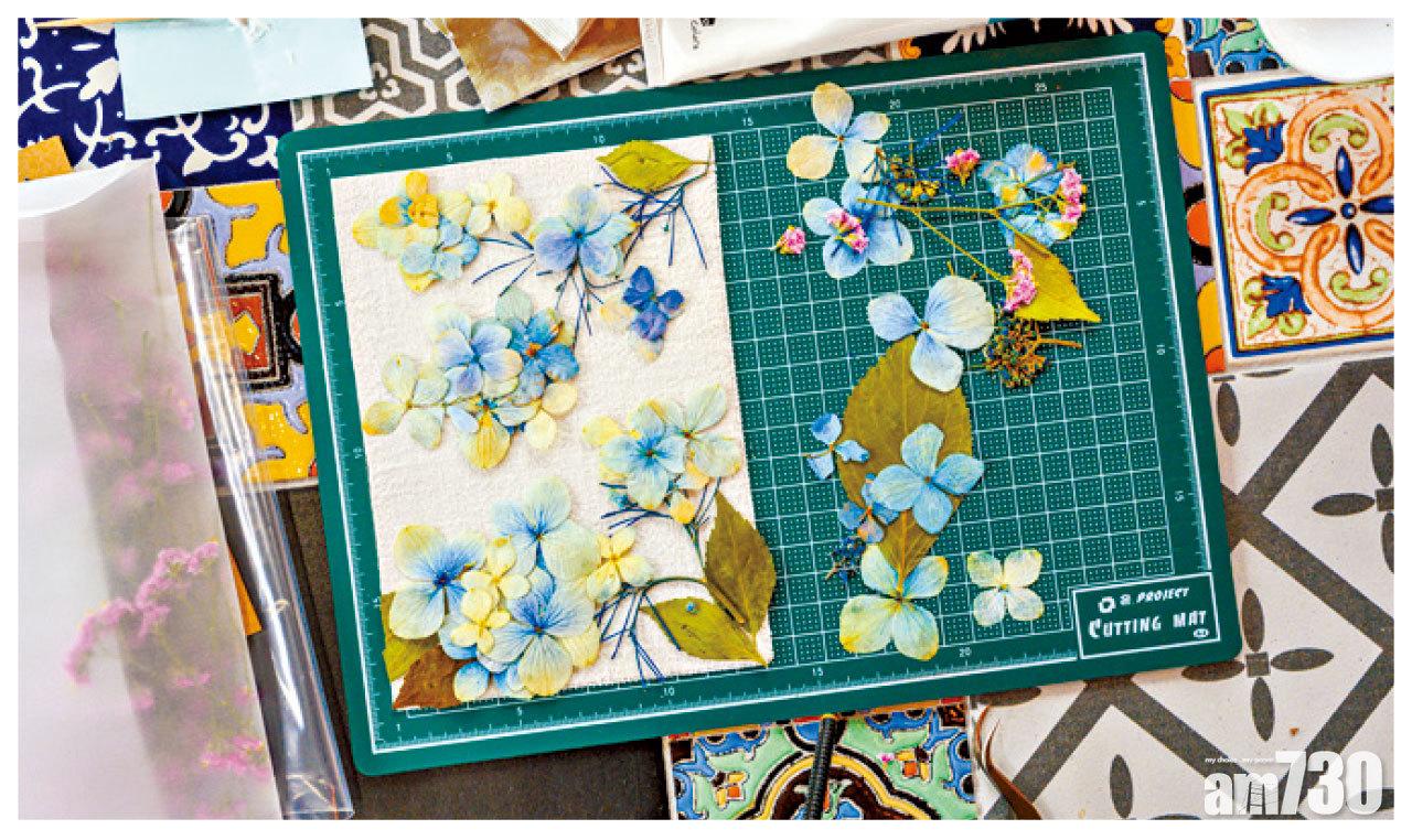 導師提醒避免用手接觸花瓣,因為體溫會令花瓣變色。