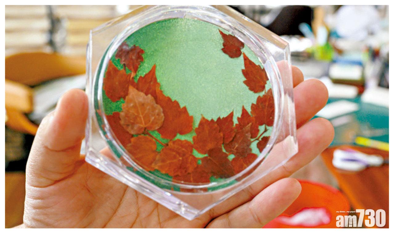 以濟州植物製作的杯墊,是特別有意思的手信。