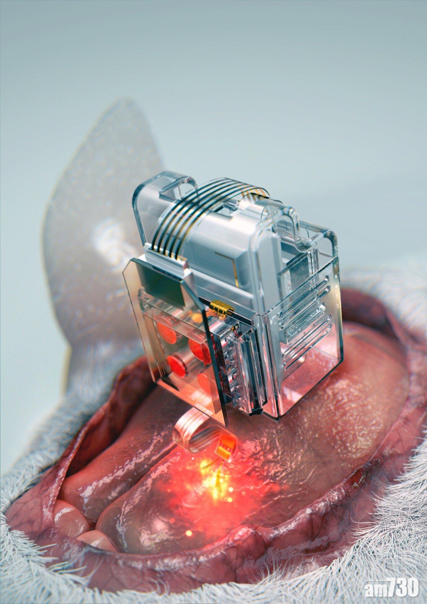 現時裝置成功在小鼠實驗中使用。(KAIST)