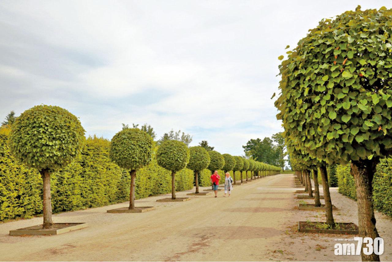 球狀矮樹為皇宮景觀生色不少。