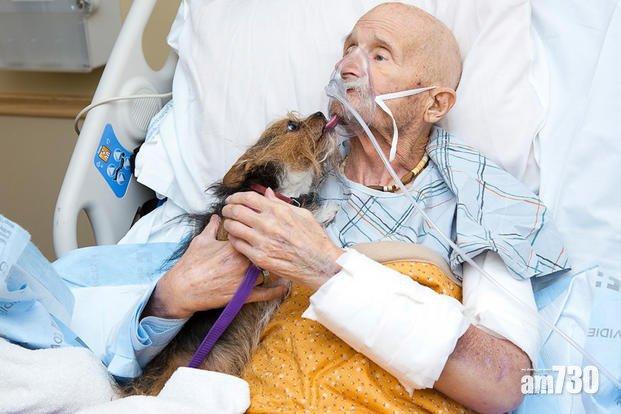 Patch舔主人的面,給主人送暖。(互聯網)