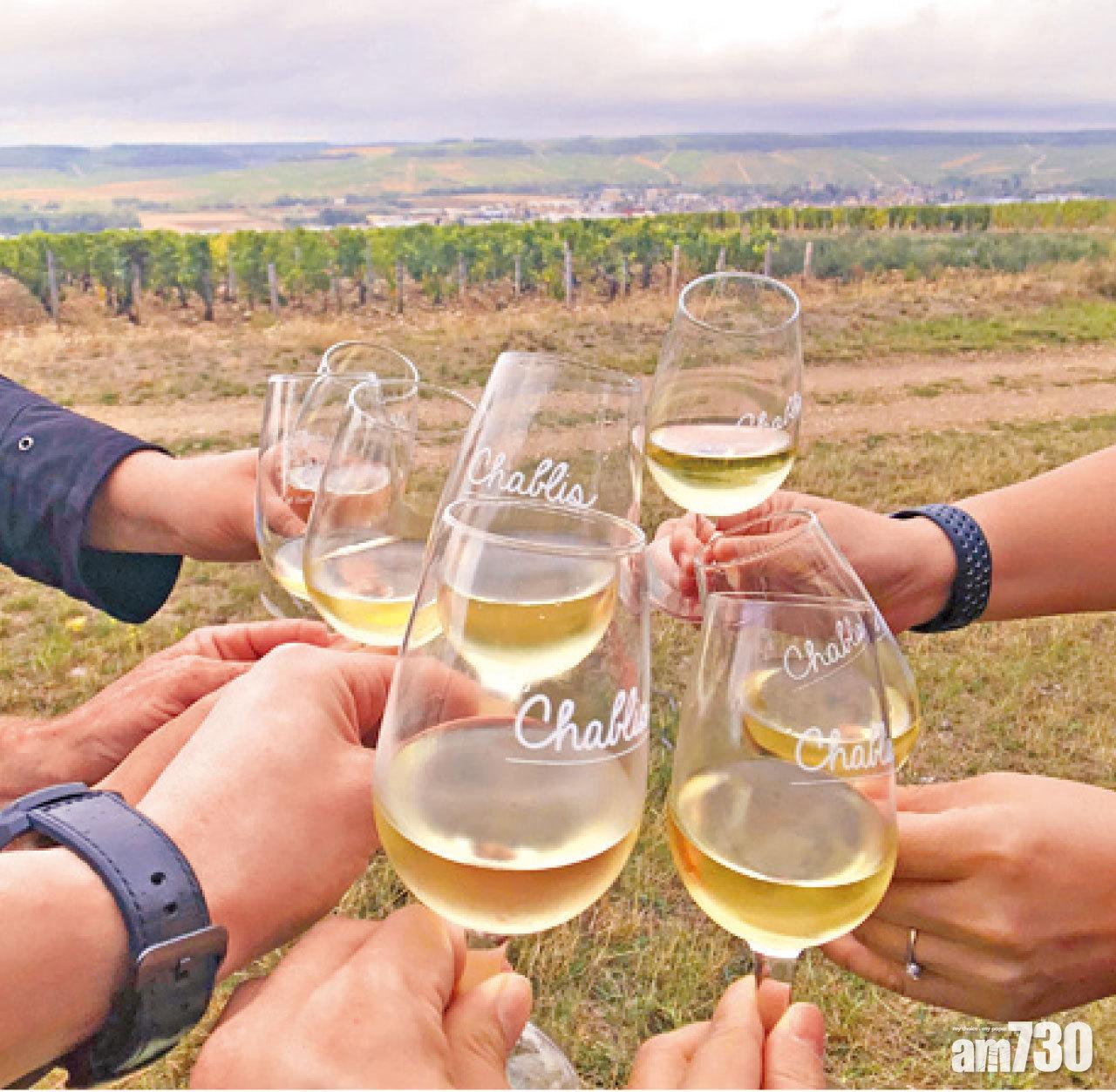 站在Chablis葡萄園前享用Chablis白酒,當然是最應景不過。