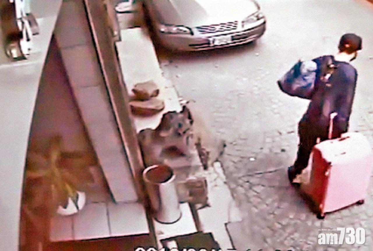 陳同佳涉在台灣殺害女友潘曉穎後棄屍。(資料圖片)