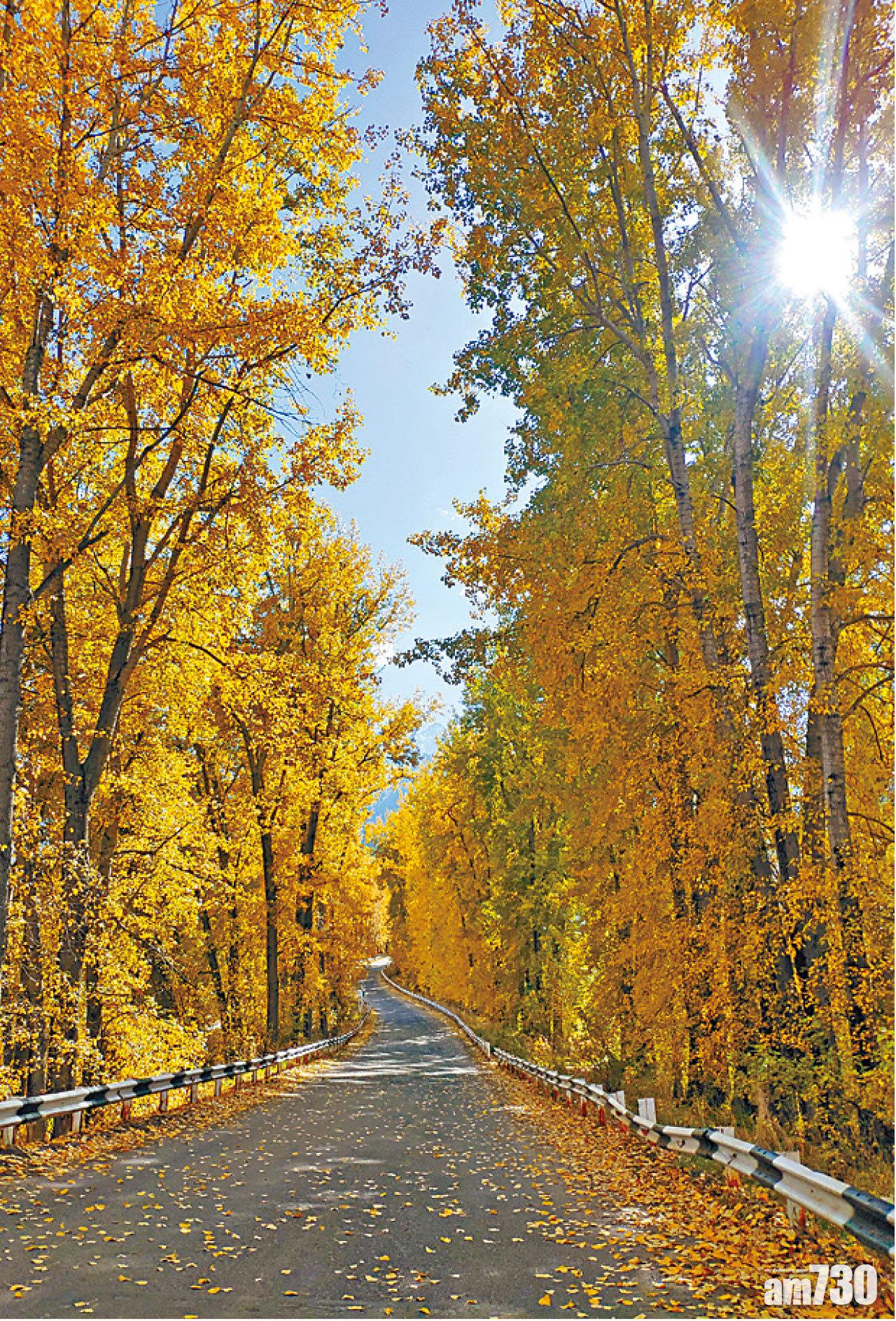 這時期的哈薩克正是入秋之時,樹林秋葉的景致美不勝收。