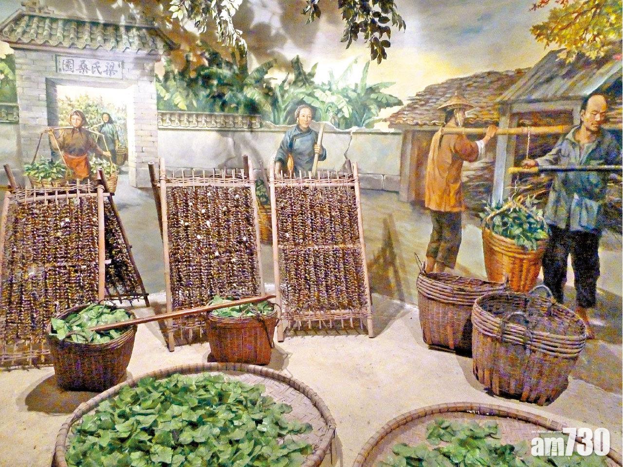 養蠶業為順德人創造財富。