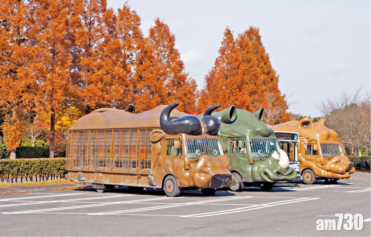 動物造型叢林巴士。