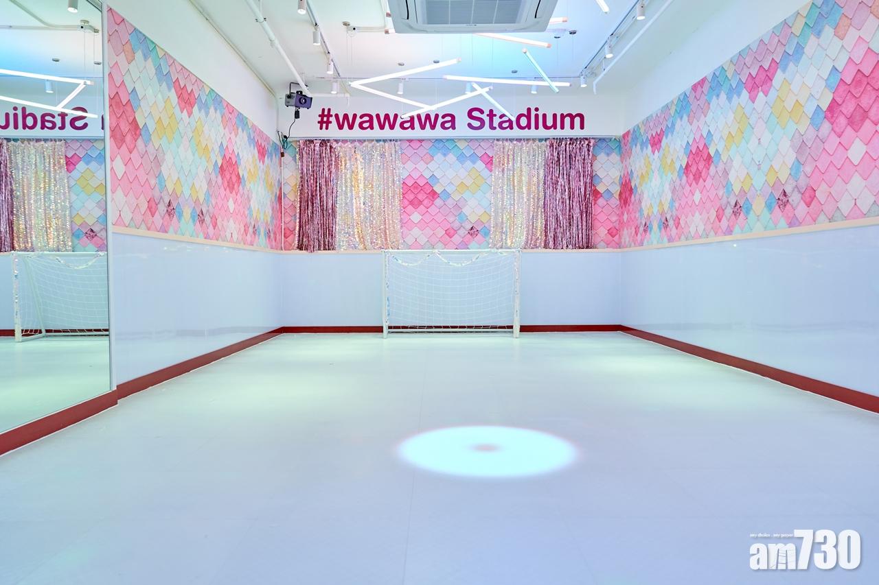 wawawa Stadium:夢幻多功能冰球室