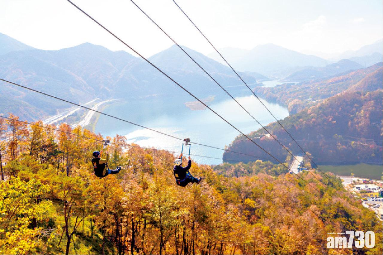極速飛索下面是極美的楓葉森林,但畏高者慎玩。