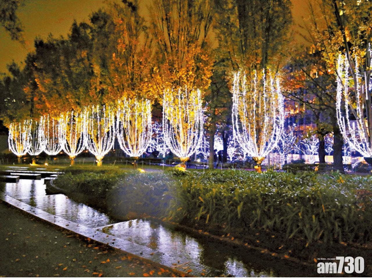 燈飾串連成大型香檳杯的模樣。